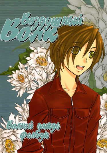 Wolf's Rain dj - Air Wolf (Воздушный волк)