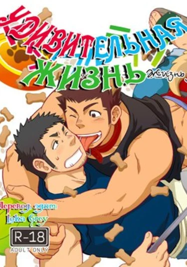 Wonderful Life (Удивительная Жизнь)