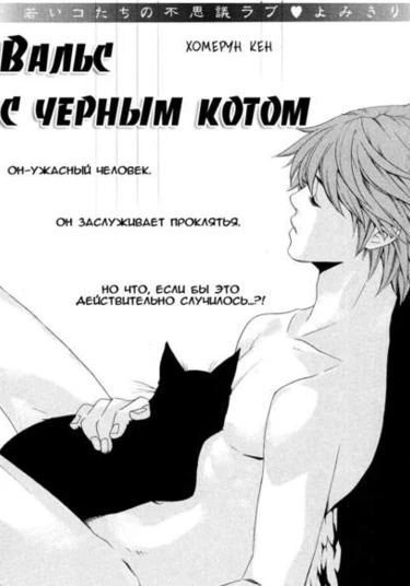 Waltz with a Black Cat (Вальс с черным котом)