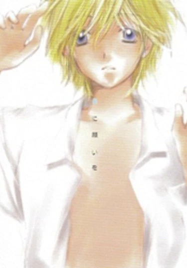 Tsubasa Chronicle dj - Hoshi ni Negai wo (Загадывая Желание Звездам)