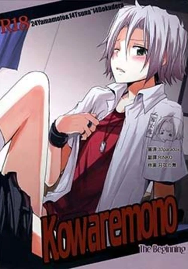 Katekyo Hitman Reborn! dj - Kowaremono (Недопонимание)