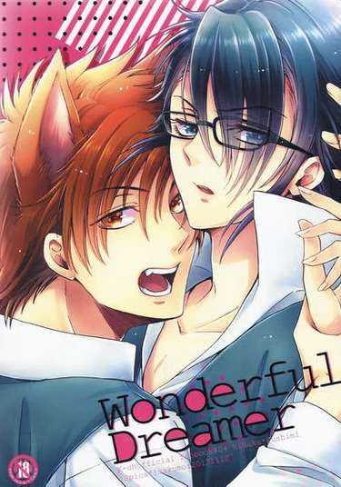 K project dj - Wonderful Dreamer