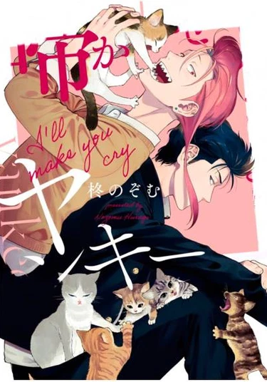 I'll Make You Cry, Yankee-kun (Я заставлю тебя плакать, Янки-кун)