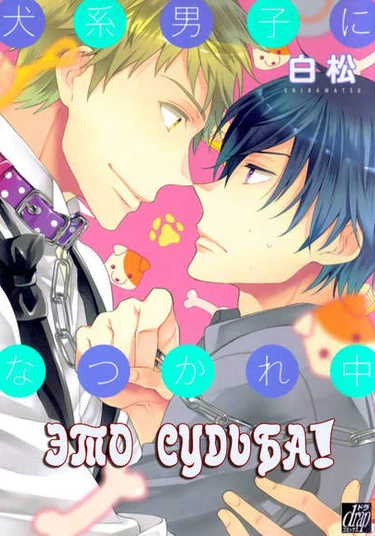 Inukei Danshi ni Natsukarechuu (Это судьба)