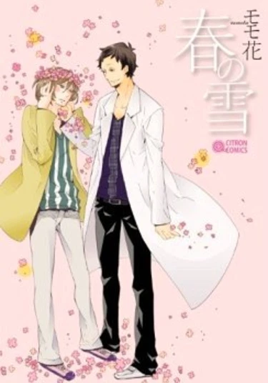Haru no Yuki (Весенний снег)