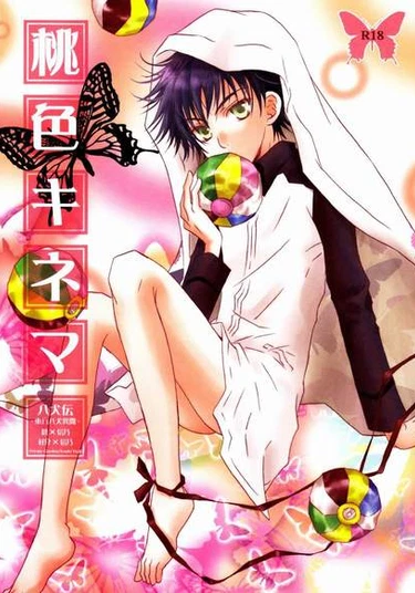 Hakkenden dj - Momoiro Kinema