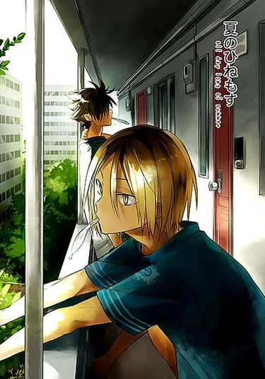 Haikyu!! dj - Natsu no Hinemosu (Однажды летом)