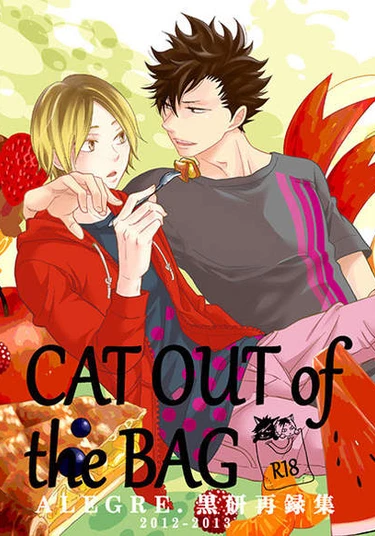Haikyu!! dj - Cat Out of the Bag (Кот в мешке.)