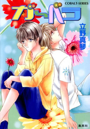 Gerbera (Гербера)