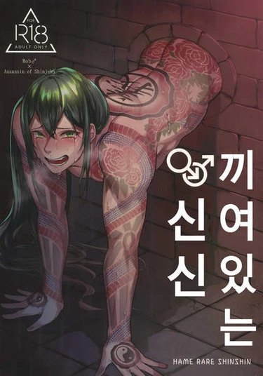 Fate/ Grand Order dj - HAME RARE SHINSHIN (В стене)