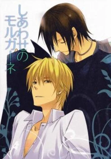 Durarara!! dj - Shiawase no Morugane