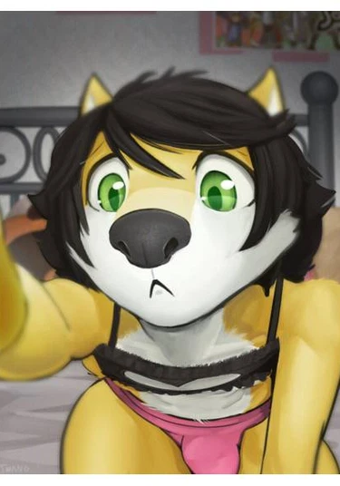 Dog show (Собачье шоу)