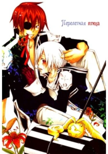 Man dj - Migratory Bird (Перелетная птица)