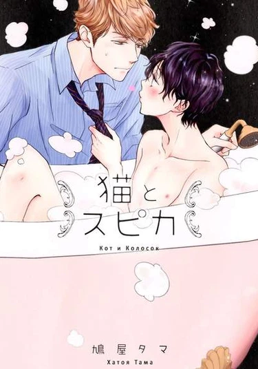 Cat and Spica (Кот и Колосок)