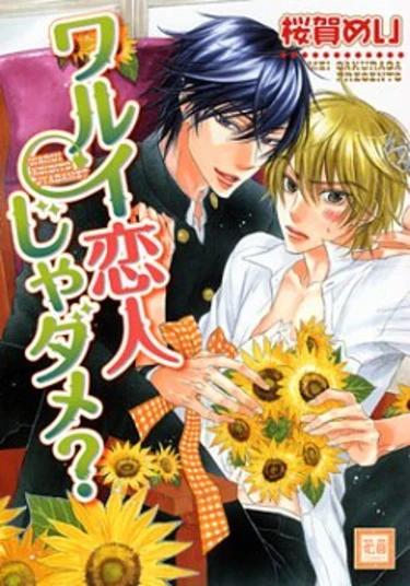 Can a bad boy be a lover? (Может ли плохой мальчик быть любовником?)