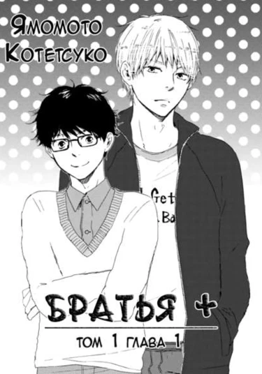 Brothers Plus (Братья +)