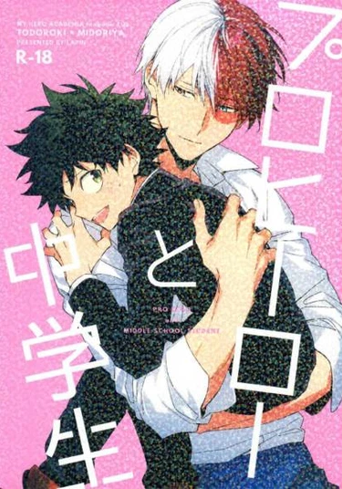 Boku no Hero Academia dj - Pro hero and Middle School Student (Про Герой и Ученик Средней Школы)