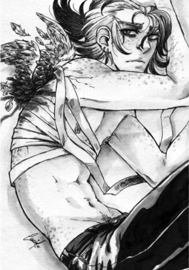 Avialae