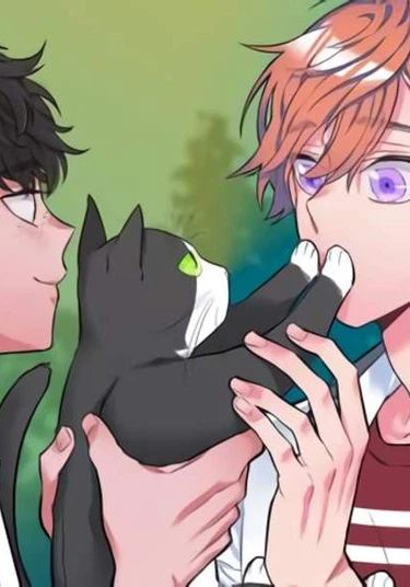 A Sea of Conflicts (Море Противоречий)