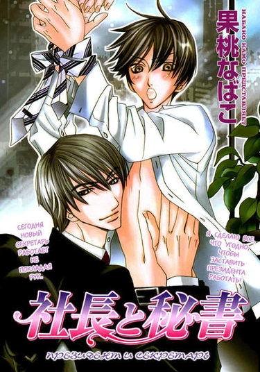 The Secretary and the President (Президент и секретарь)