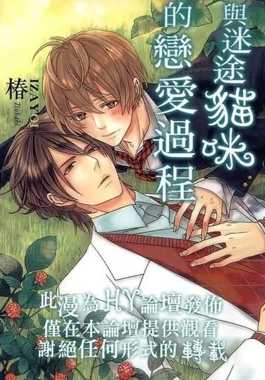 The lost cat and the future of love (Потерянный кот и будущее любви)