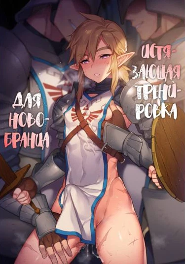 The Legend of Zelda dj - The Torturous Training Of New Recruits (Истязающая тренировка для новобранца)