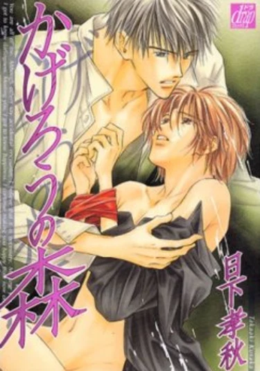 The Forest of Shimmer (Лес мерцающего света)