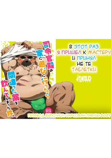 That time i went to the commander and took the wrong medicine (В этот раз я пришел к мастеру и принял не те таблетки)