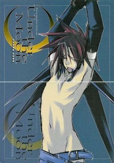 Tales of Symphonia dj - Under the Moon (Под луной)