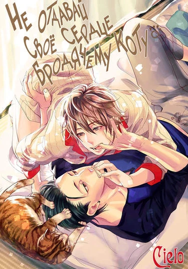 Suteneko ni Ai o (wo) Ataete wa Ikemasen (Не отдавай свое сердце бродячему коту)