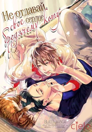 Suteneko ni Ai o (wo) Ataete wa Ikemasen (Не отдавай свое сердце бродячему коту)