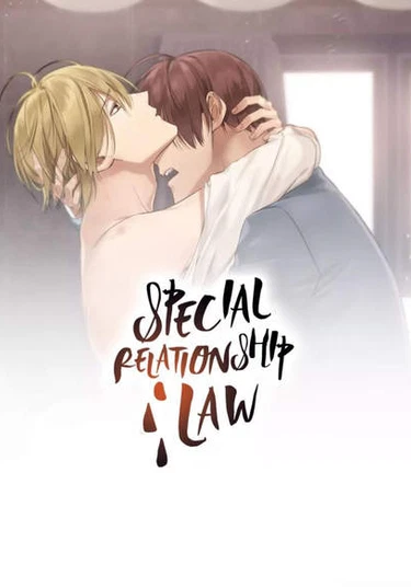 Special Relationship Law (Специальный закон об отношениях)
