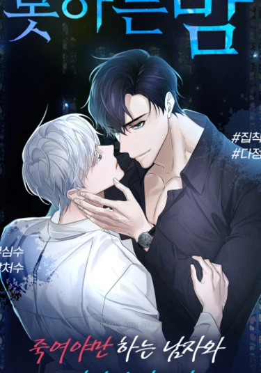 Sleepless night (Бессонная ночь)