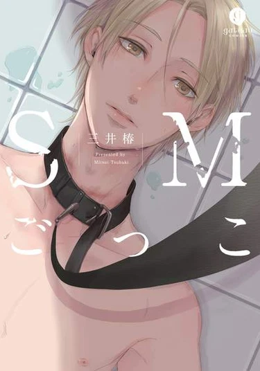 SM games (SM-игры)