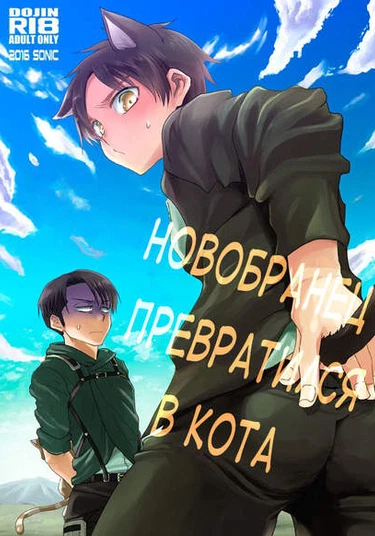 Shingeki no kyojin dj - The recruit is a cat (Новобранец превратился в кота)