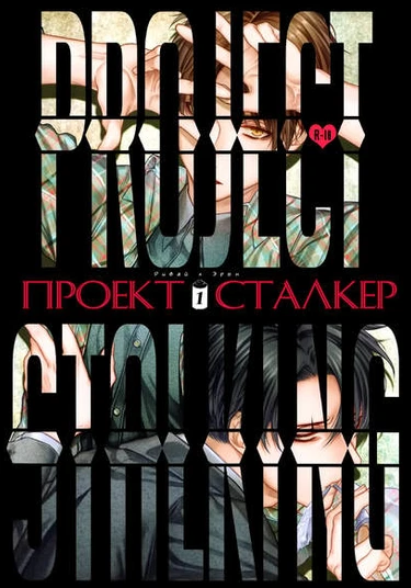 Shingeki no Kyojin dj - Project stalking (План наблюдения)