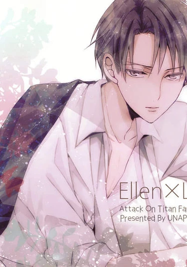 Shingeki no Kyojin dj - Levi birthday Memorial book