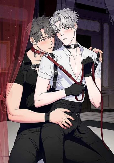 Romantical Behind (Романтика за кадром)