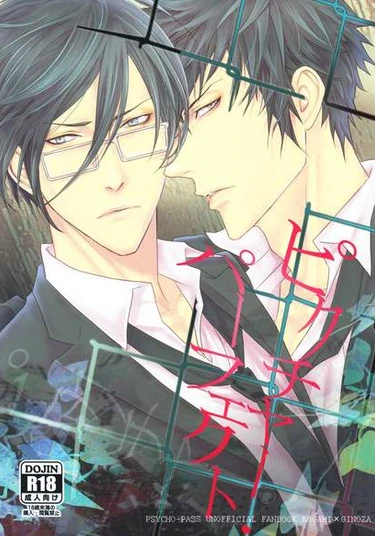 Psyho-Pass dj - Picture Perfect (Идеальная фотография)