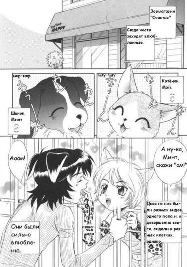 Petshop boys (Мальчики из зоомагазина)