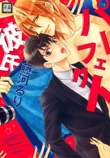 Perfect Kareshi (Идеальный любовник)