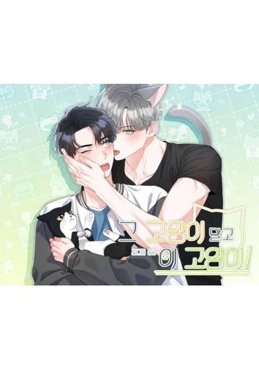 Not That Cat (Кот, да не тот)