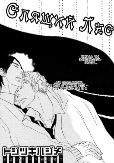 Nemureru Mori (Спящий Лес)