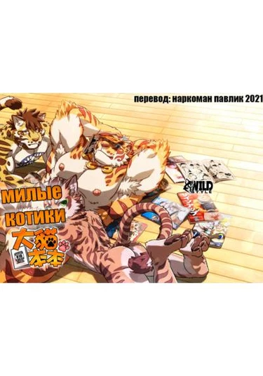 Neko Hon Hon (Милые котики)