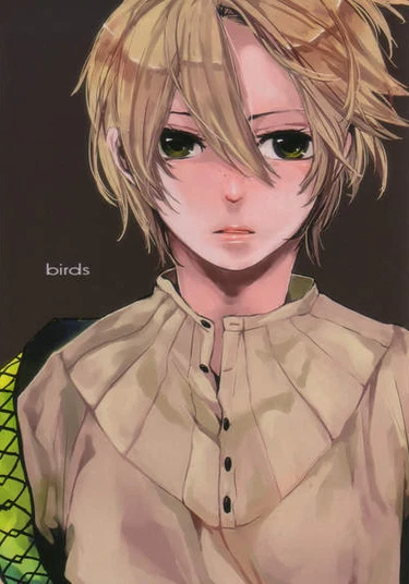 Magi - Labyrinth of Magic dj - Birds (Птица)