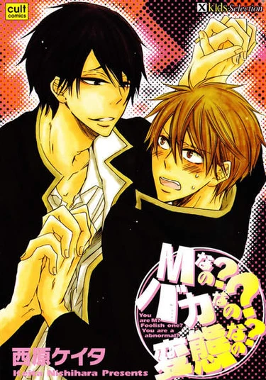 M nano? Baka nano? Hentai nano? (Мазохист? Извращенец? Совсем дурак?)