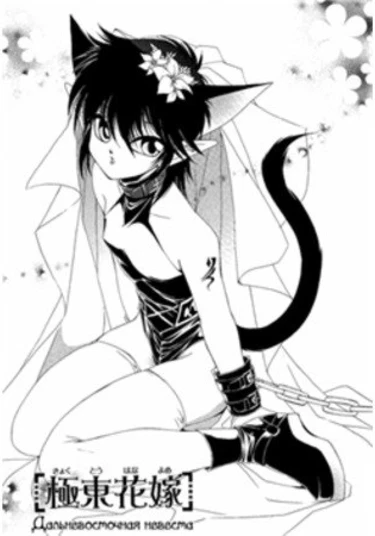 Kyokutou Hanayome (Дальневосточная невеста)