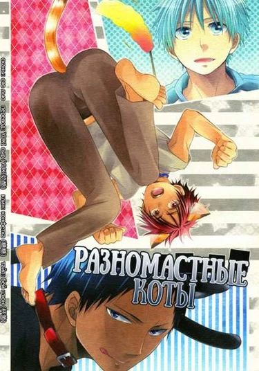 Kuroko no Basket dj - Cat Color (Разномастные коты)