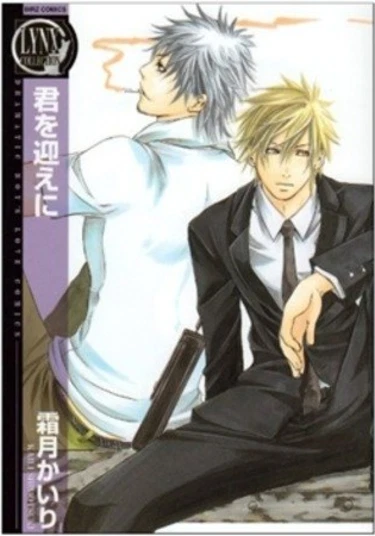 Kimi wo Mukaeni (Встретить тебя)