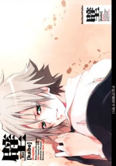 Katekyo Hitman Reborn! dj - Wall (Стена)